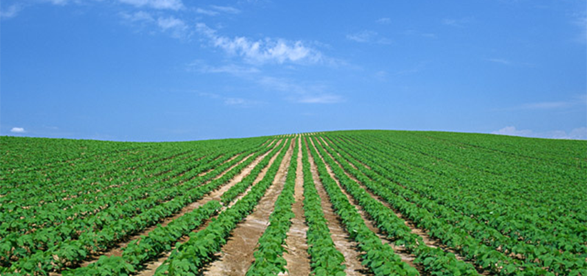 6月4日は 土地改良制度記念日 です ワールドビジネスサテライト Wbs がっちりマンデー などのビジネスニュースで学び仕事とお金について考えるブログ